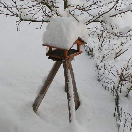 Fewo Talula - Sauerland Mit Hund Medebach Exterior foto