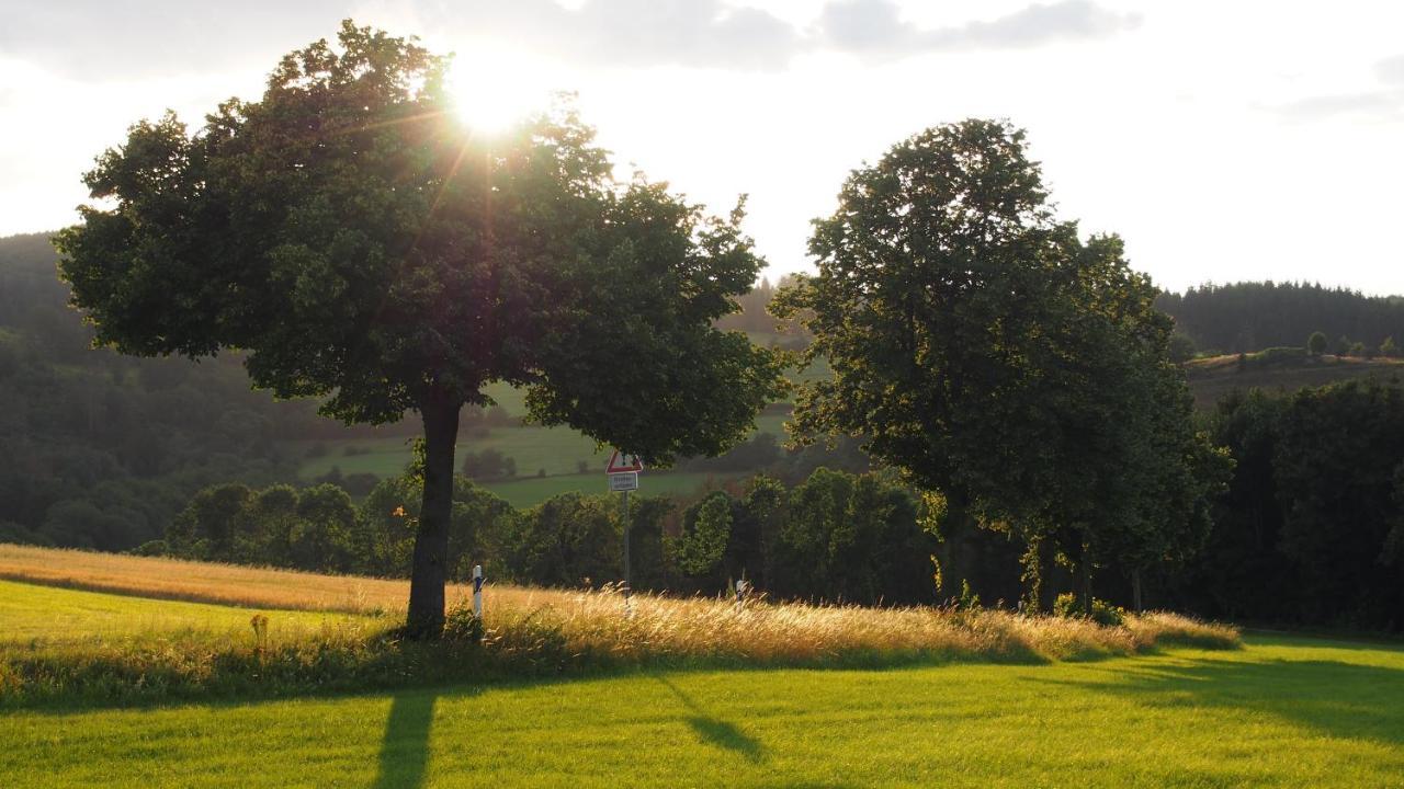 Fewo Talula - Sauerland Mit Hund Medebach Exterior foto