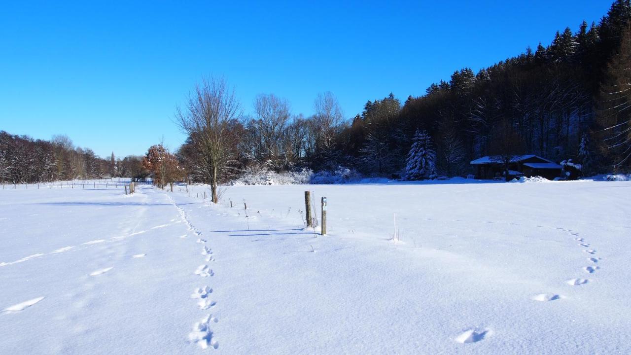 Fewo Talula - Sauerland Mit Hund Medebach Exterior foto