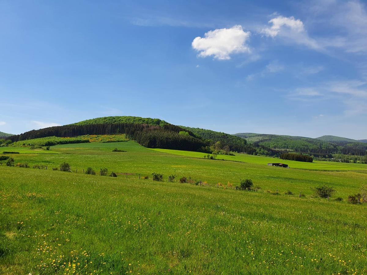 Fewo Talula - Sauerland Mit Hund Medebach Exterior foto