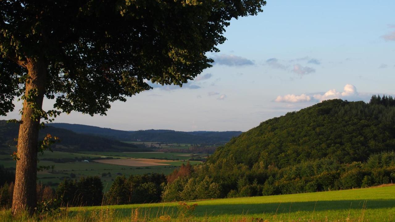 Fewo Talula - Sauerland Mit Hund Medebach Exterior foto