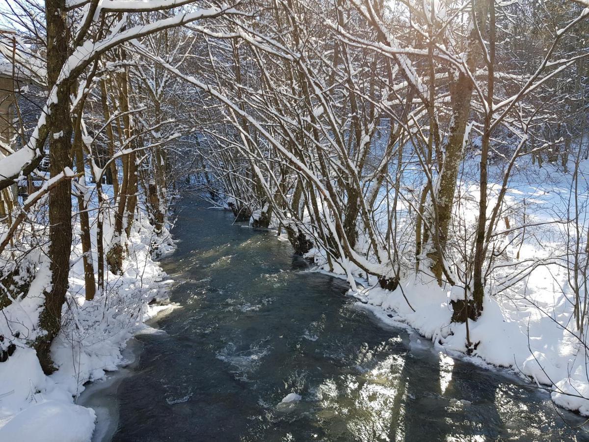 Fewo Talula - Sauerland Mit Hund Medebach Exterior foto