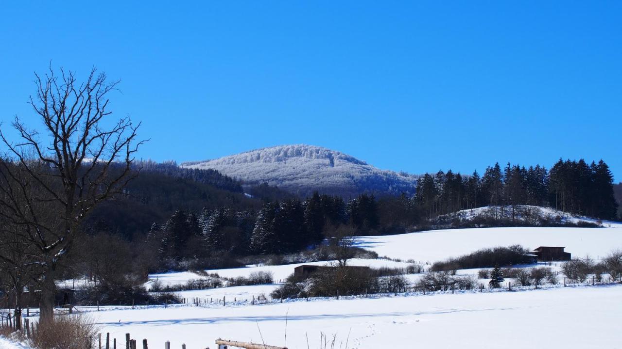 Fewo Talula - Sauerland Mit Hund Medebach Exterior foto