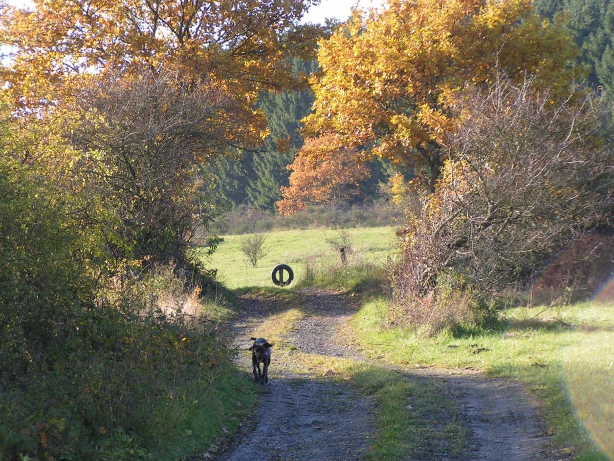 Fewo Talula - Sauerland Mit Hund Medebach Exterior foto